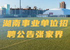 2019年张家界市永定区事业单位招聘考试公告（94人）