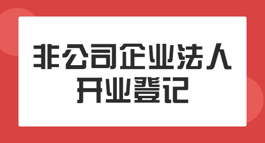 益阳非公司企业法人登记