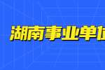2022年湖南郴州市审计局招聘专业技术人员的补充公告