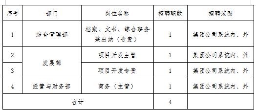2022年中电(湖南)能源投资有限公司招聘公告