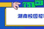 2022年中国农业银行湖南省分行春季校园招聘公告（260名）
