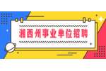 湘西州事业单位招聘：2022年湘西州保靖县事业单位招聘简章（141名）