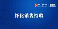 思成智能玩具有限公司招聘区域销售主管