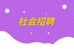 湖南人才网|中国能源投资集团2023年应届生统招计划